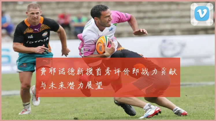 费耶诺德新援首秀评价即战力贡献与未来潜力展望